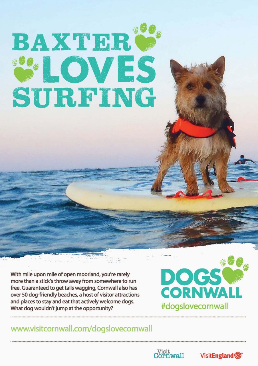Dogs Today Magazine Preview Pages