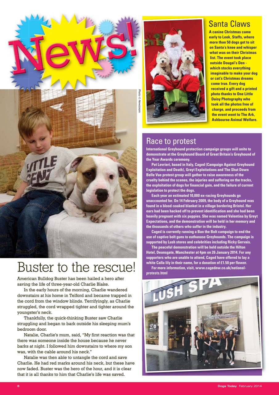 Dogs Today Magazine Preview Pages