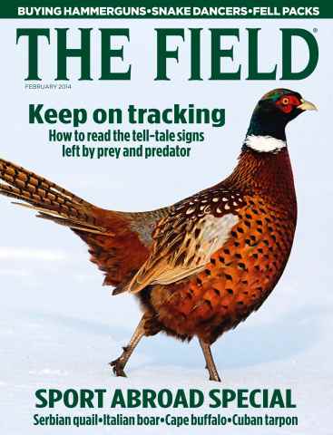 The Field issue February 2014