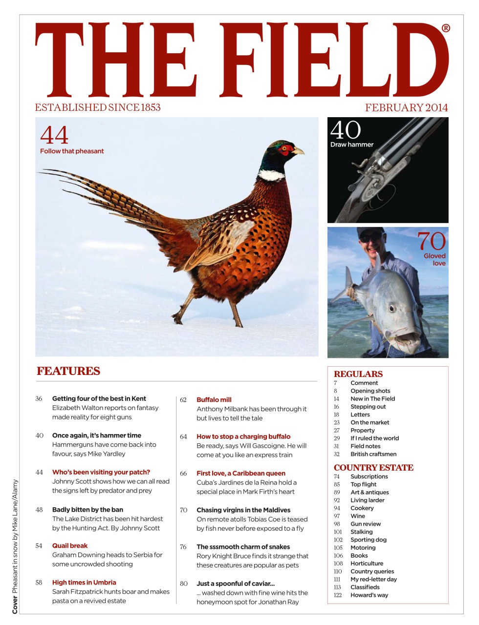 The Field Preview Pages