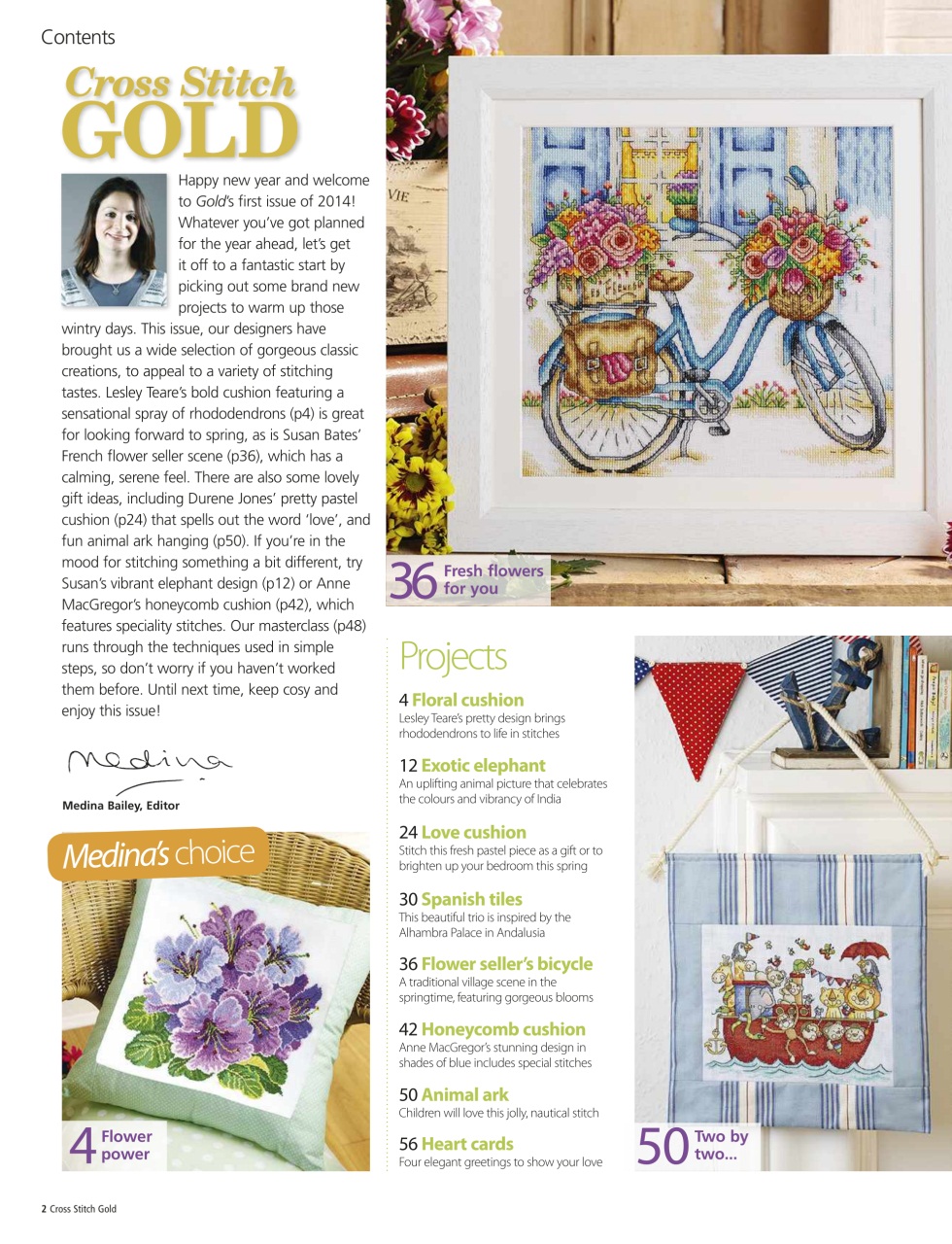 Cross Stitch Gold Preview Pages
