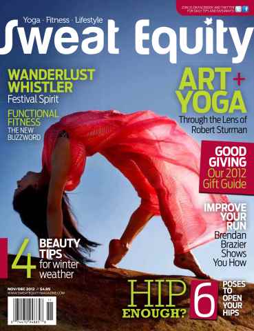 Sweat Equity issue November-December 2012