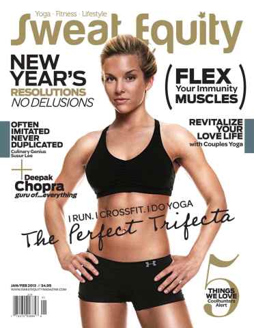 Sweat Equity issue January-February 2013