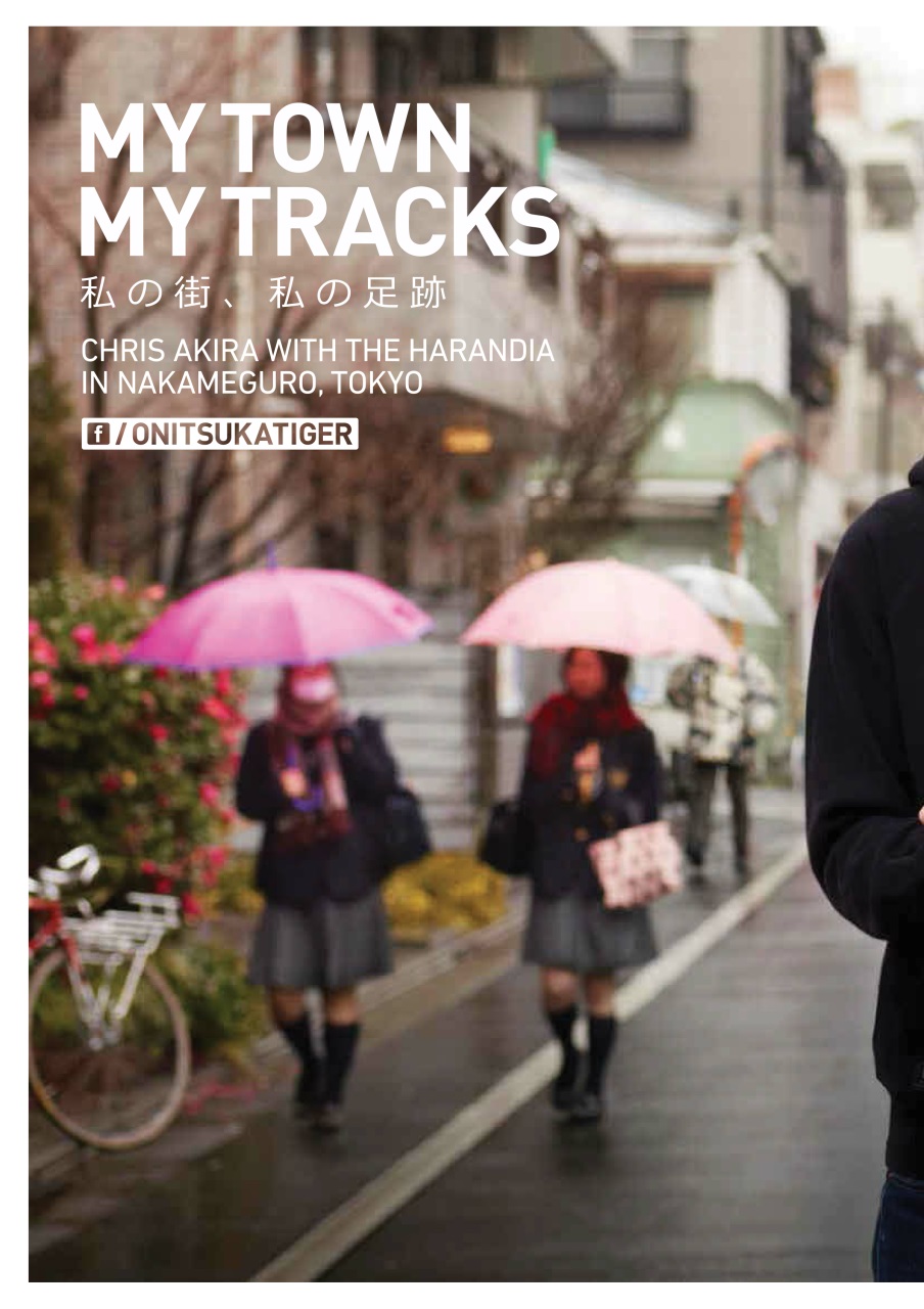 Loaded Preview Pages