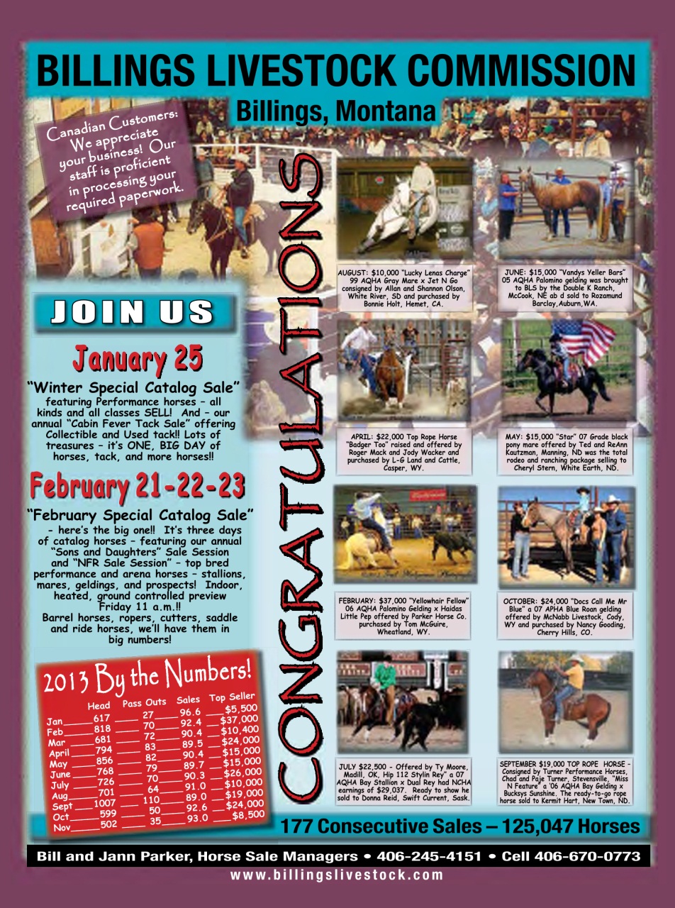 Western Horse Review Preview Pages