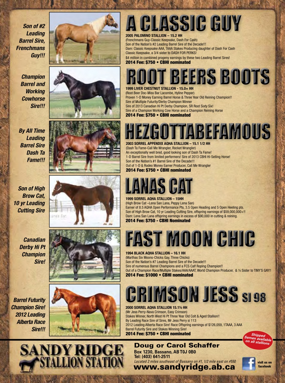 Western Horse Review Preview Pages