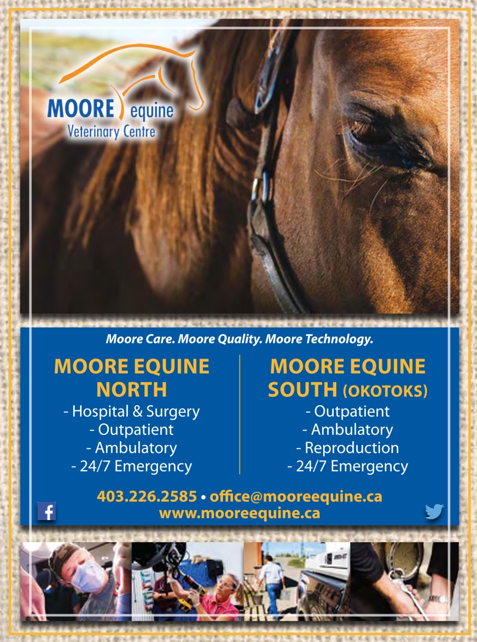 Western Horse Review Preview Pages