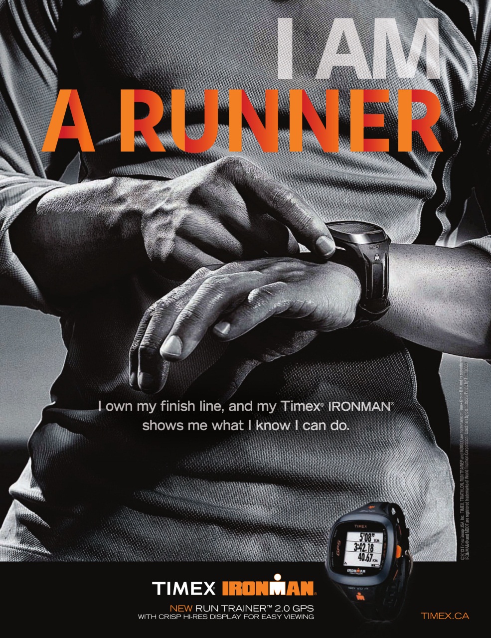 Sweat Equity Preview Pages