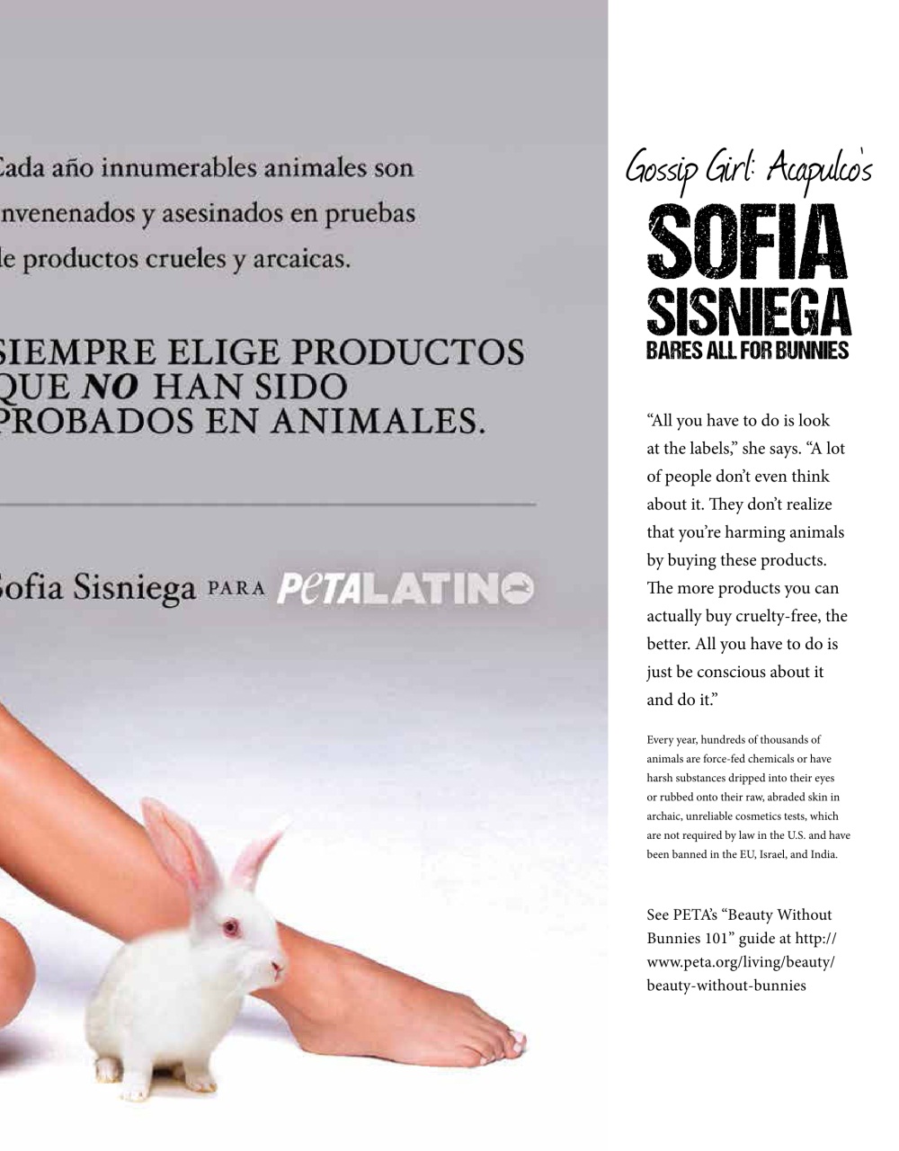 Latin Trends Preview Pages