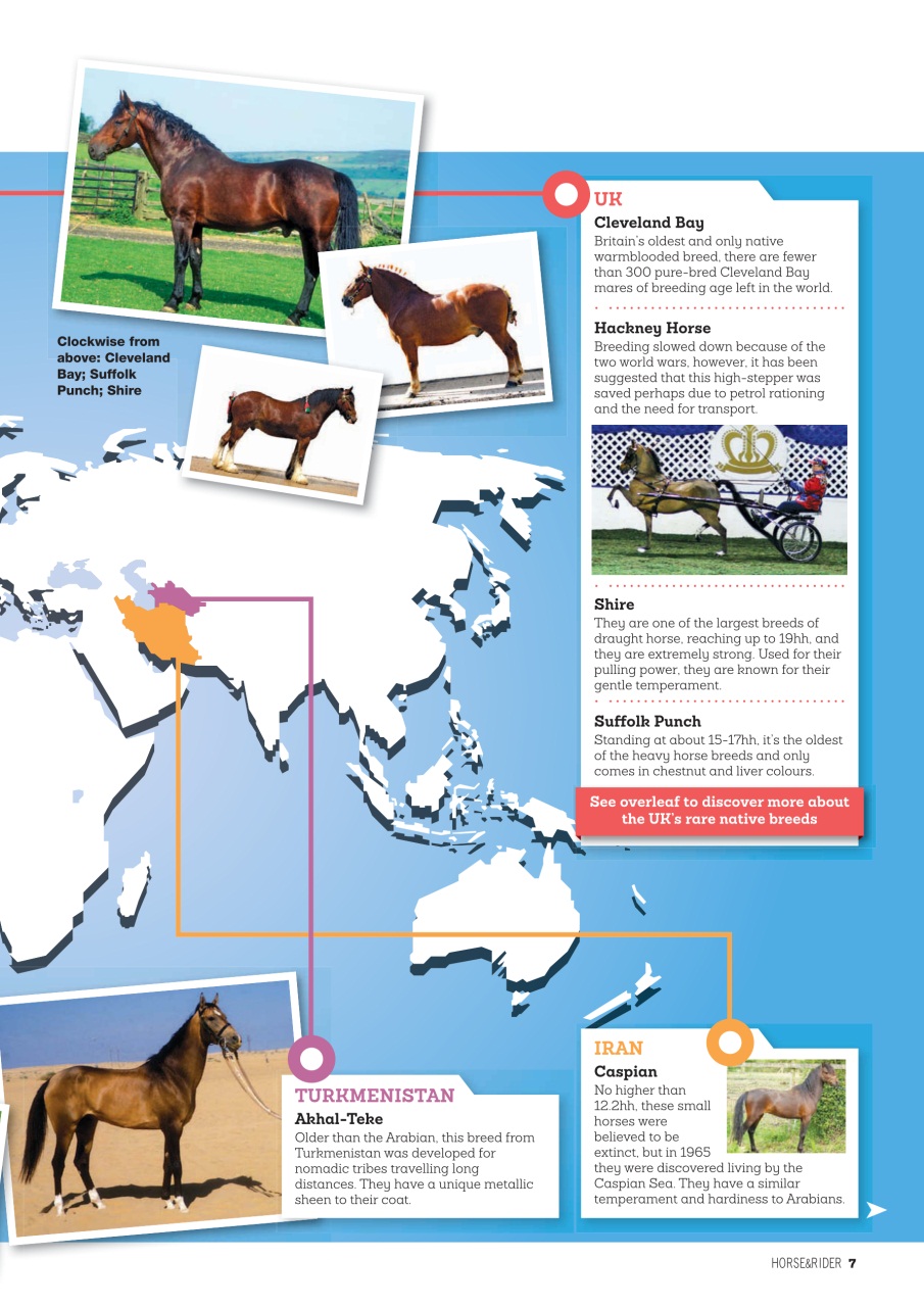 Horse&Rider Magazine - UK equestrian magazine for Horse and Rider Preview Pages