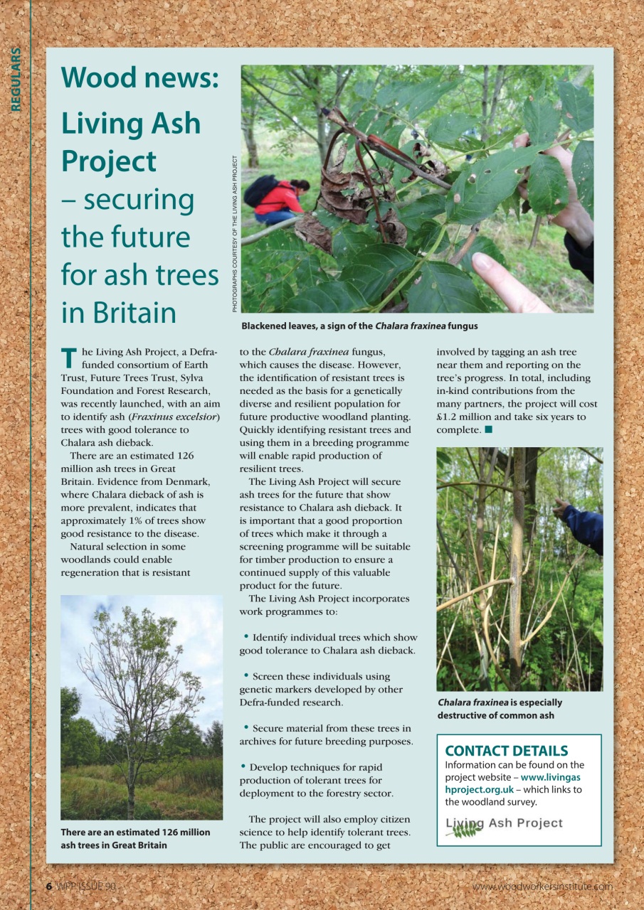 Woodworking Crafts Magazine Preview Pages