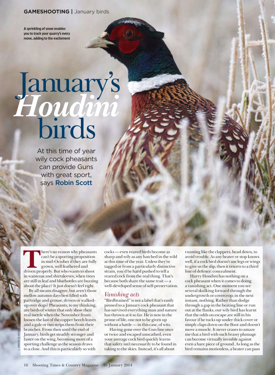 Shooting Times & Country Preview Pages