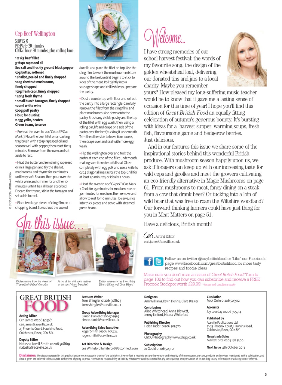 Great British Food Preview Pages