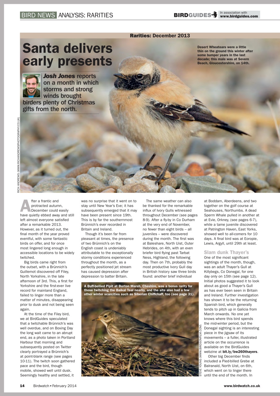 Birdwatch Magazine Preview Pages