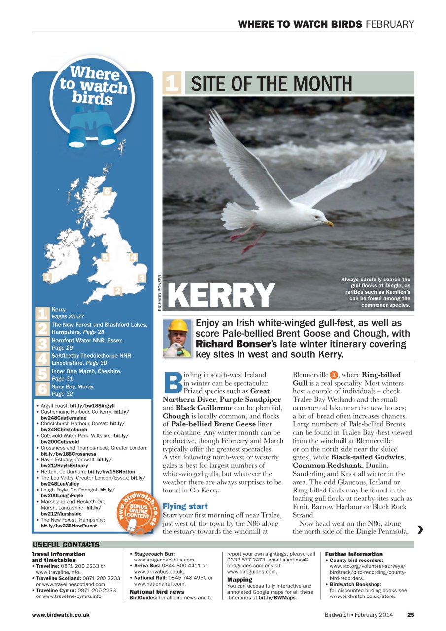 Birdwatch Magazine Preview Pages