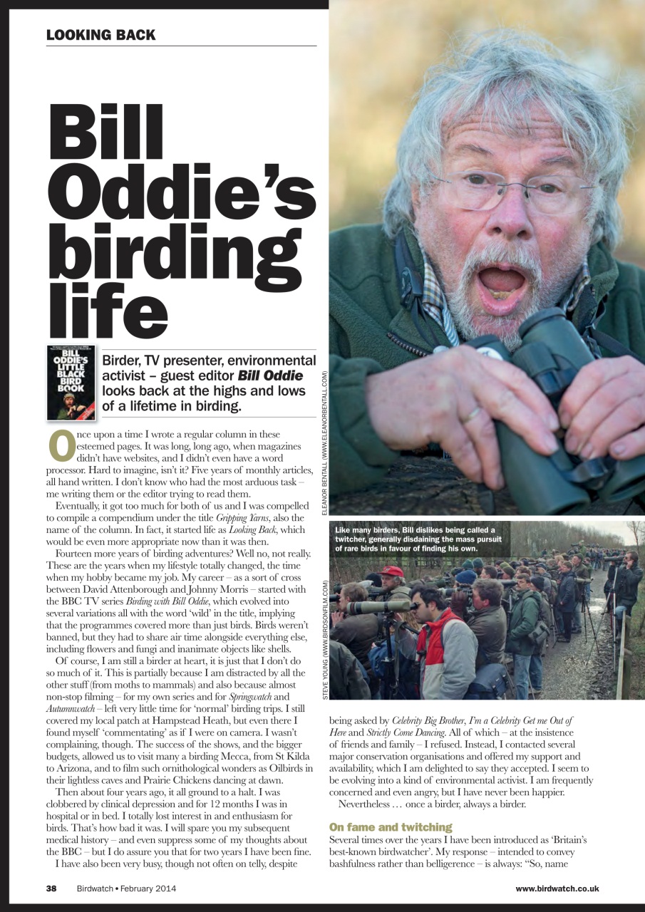 Birdwatch Magazine Preview Pages