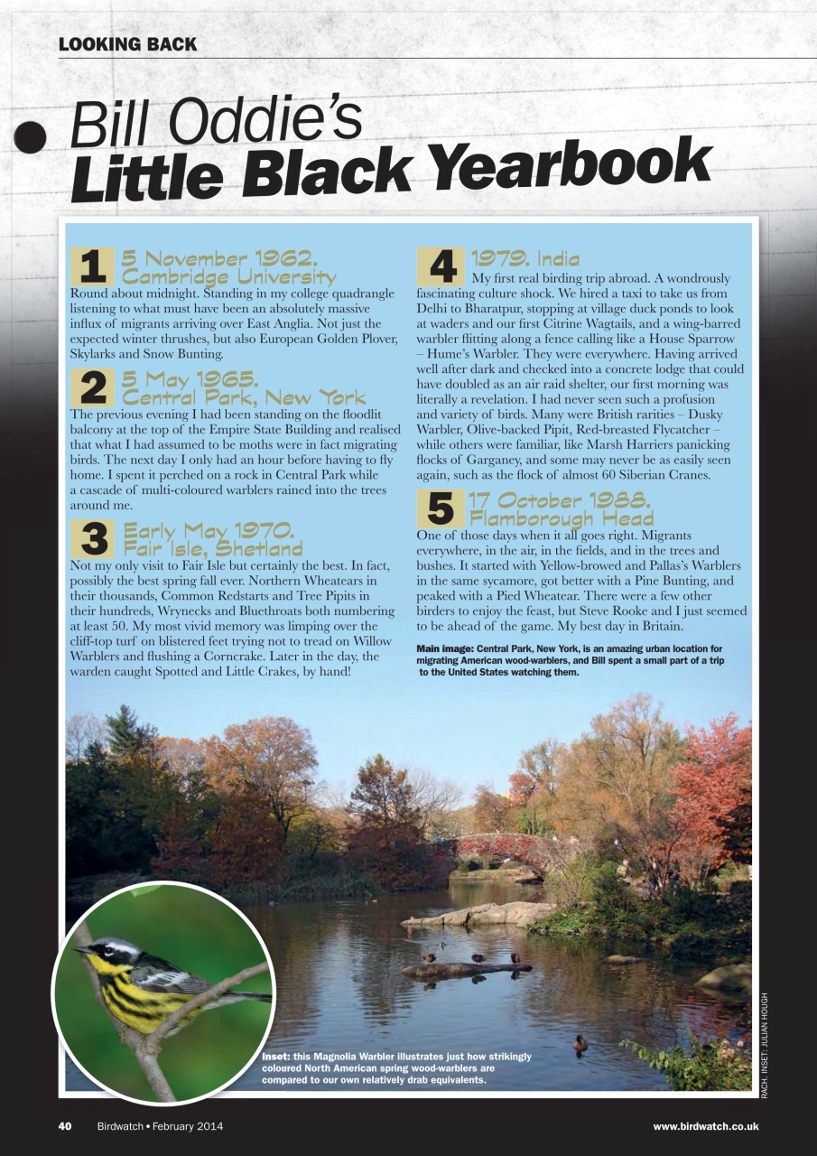 Birdwatch Magazine Preview Pages