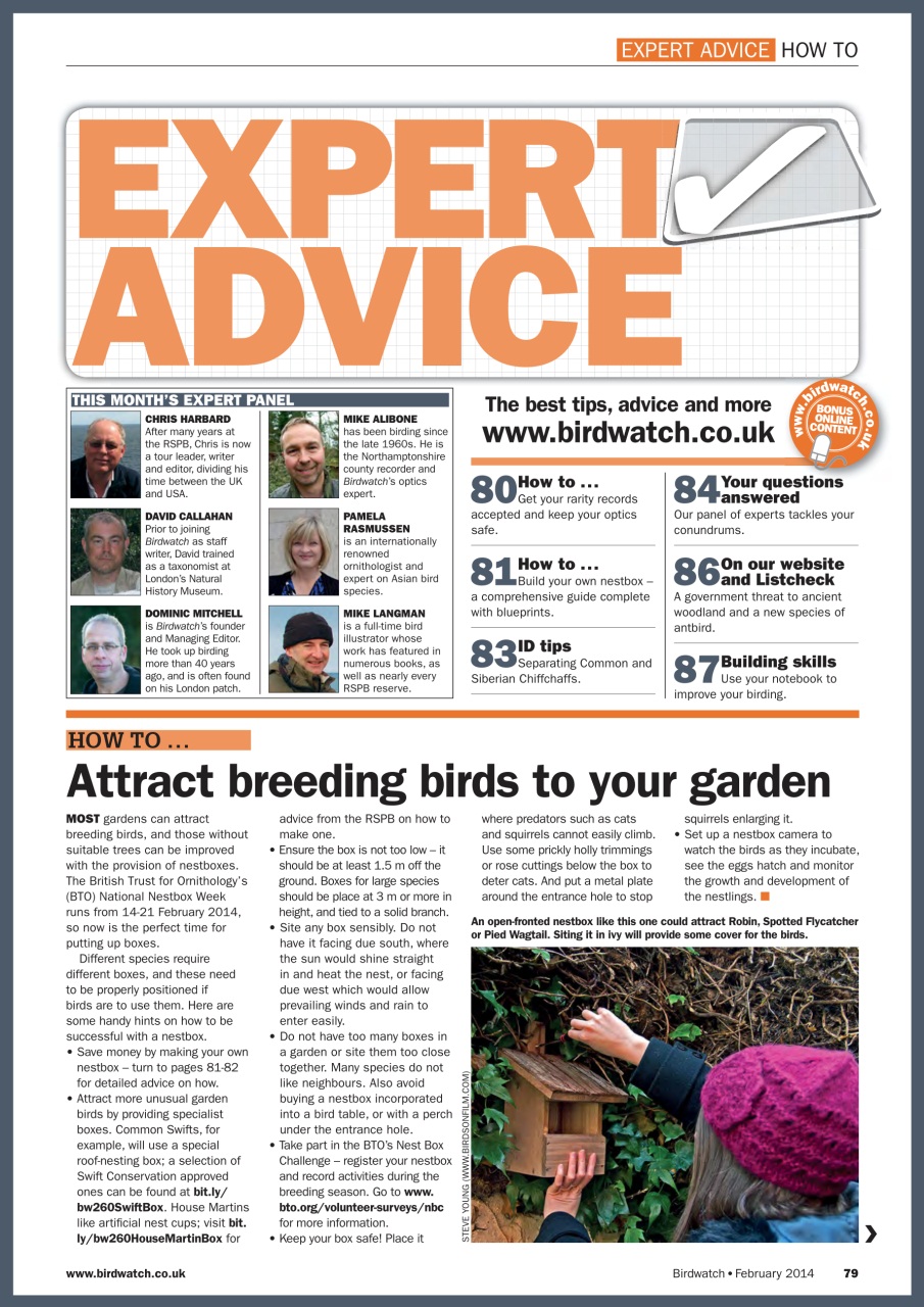 Birdwatch Magazine Preview Pages