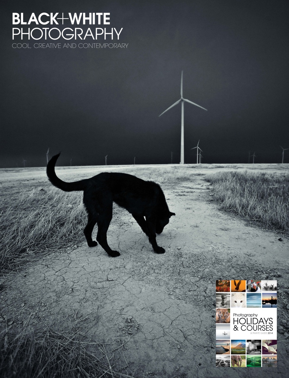 Black+White Photography Preview Pages