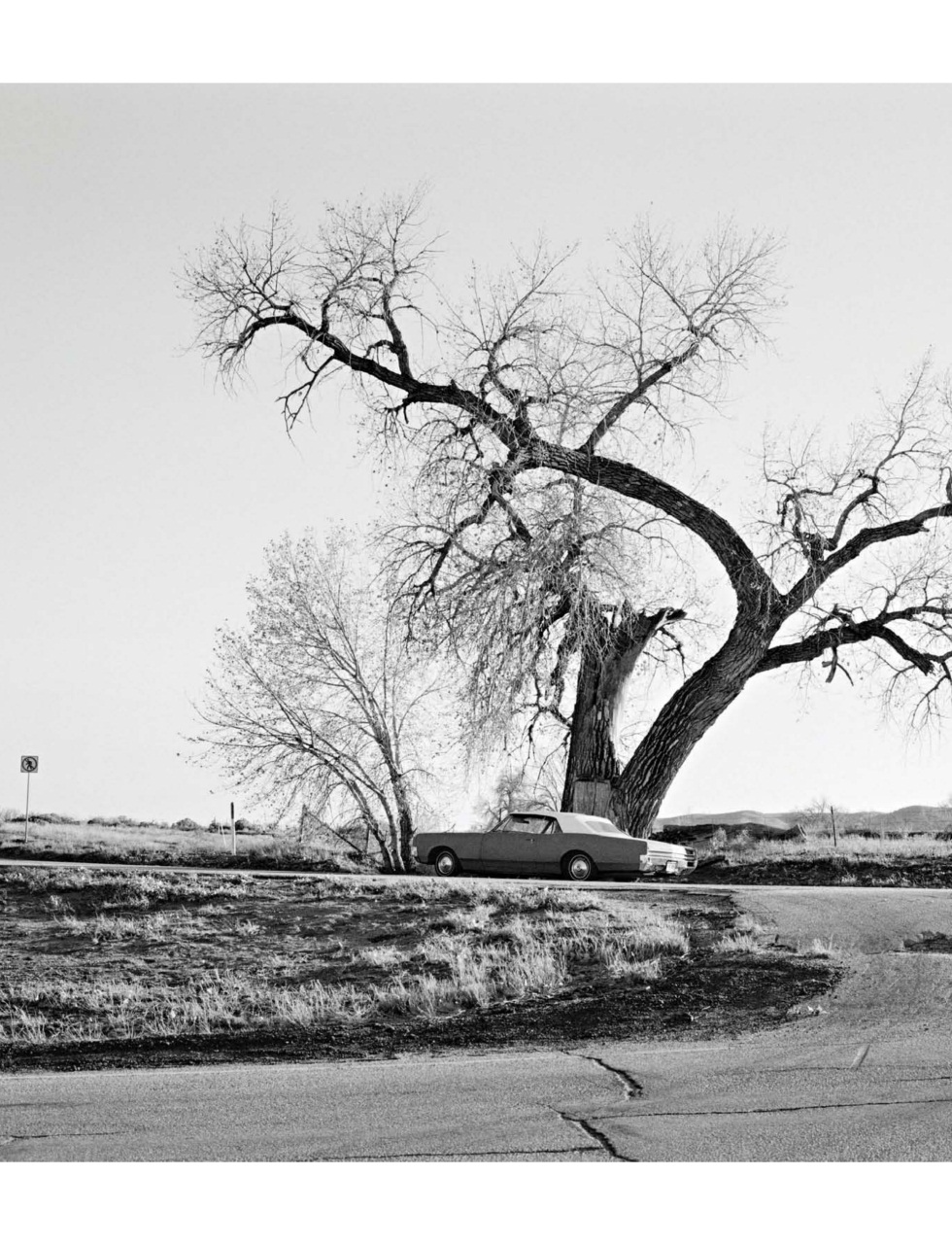 Black+White Photography Preview Pages