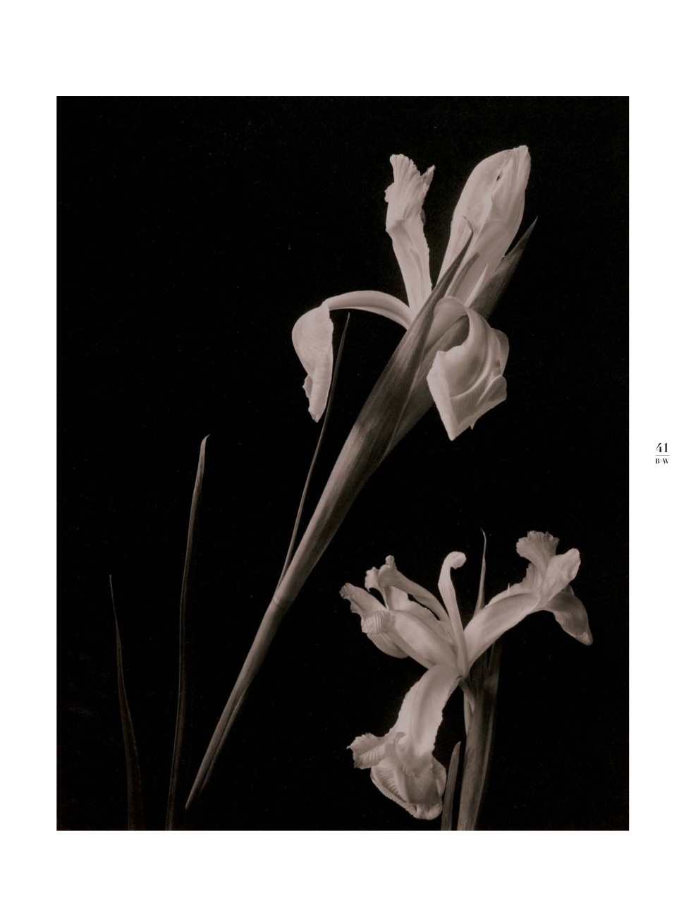 Black+White Photography Preview Pages