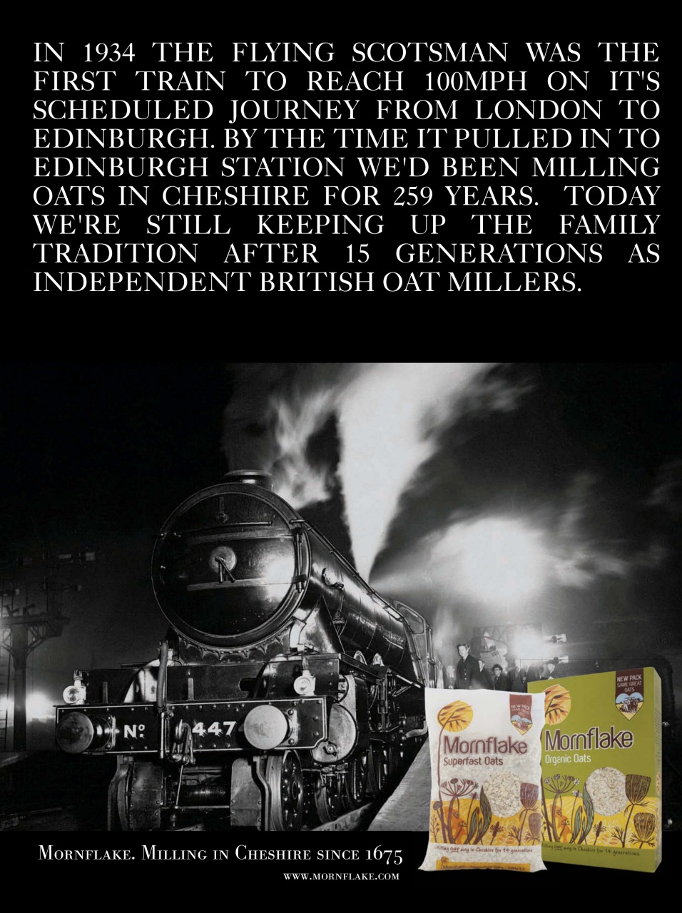 Veggie Magazine Preview Pages