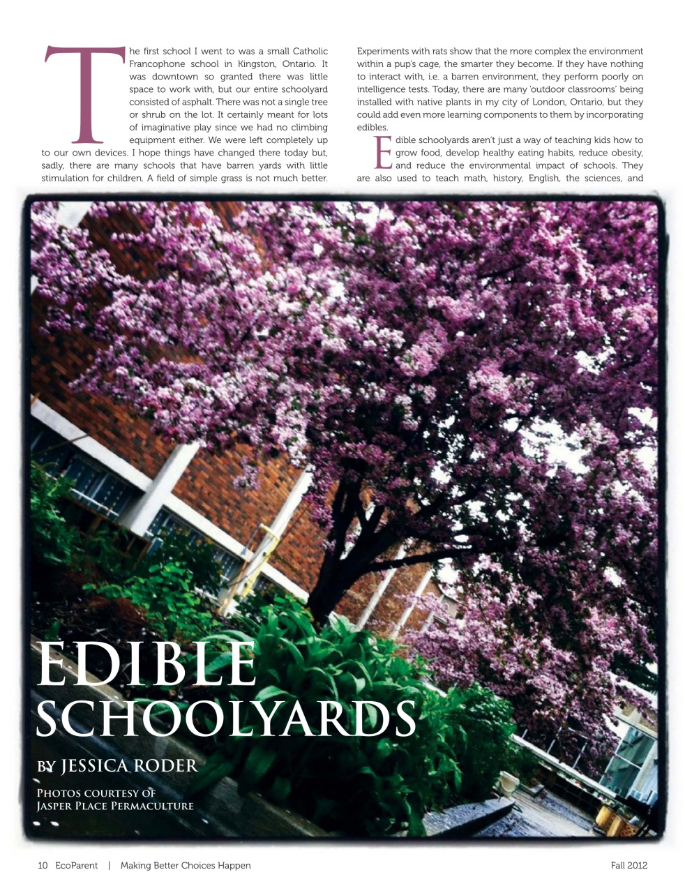 Ecoparent Magazine Preview Pages