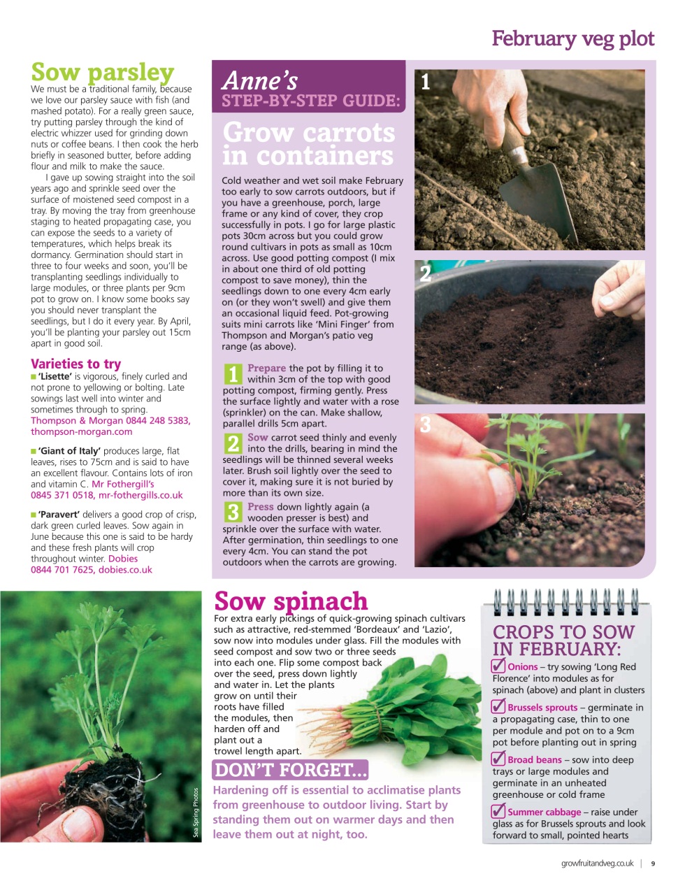 Grow Your Own Preview Pages