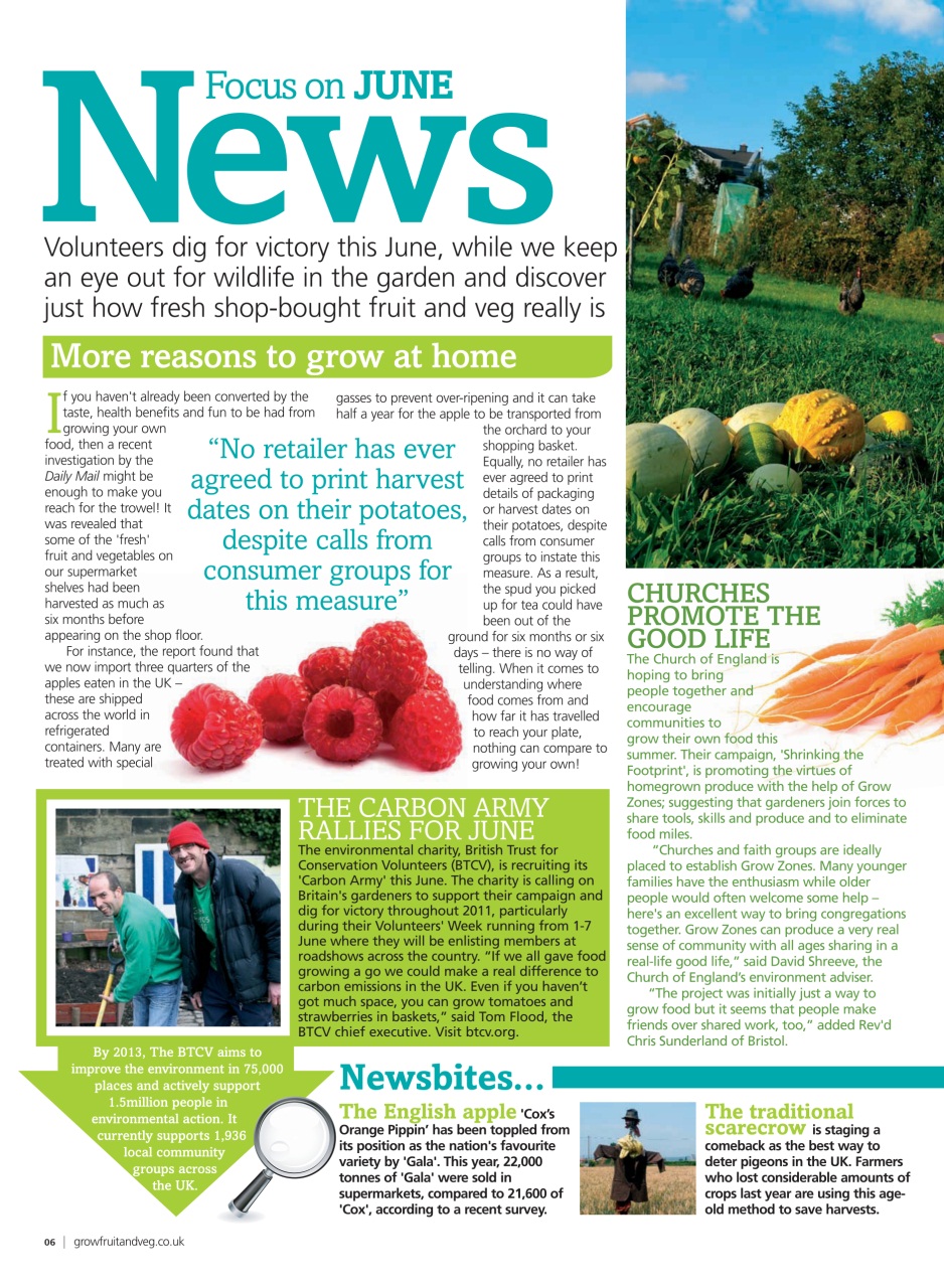 Grow Your Own Preview Pages