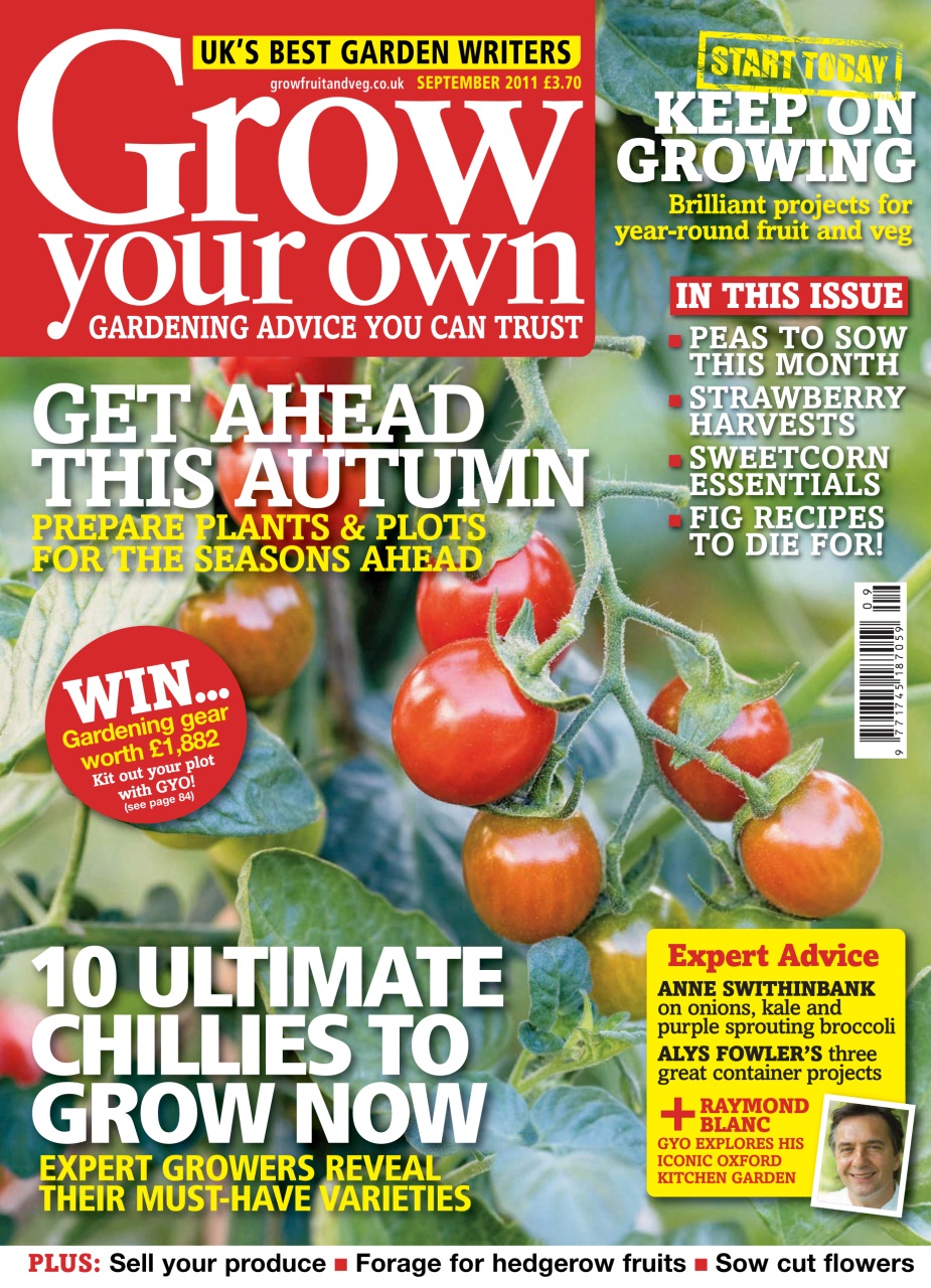 Grow Your Own Preview Pages