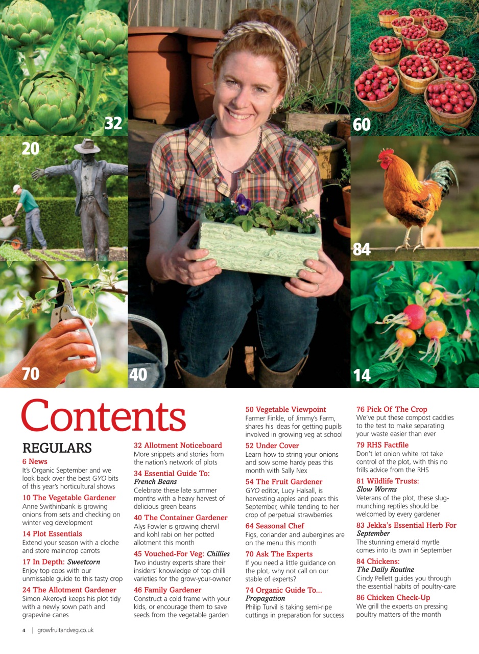 Grow Your Own Preview Pages