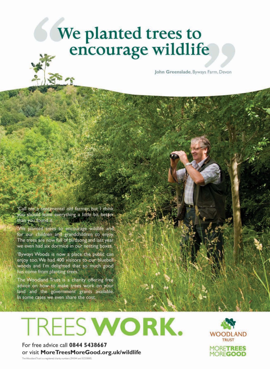 Grow Your Own Preview Pages