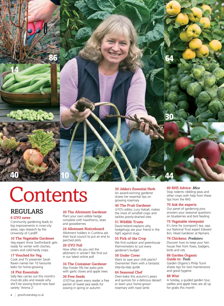 Grow Your Own Preview Pages