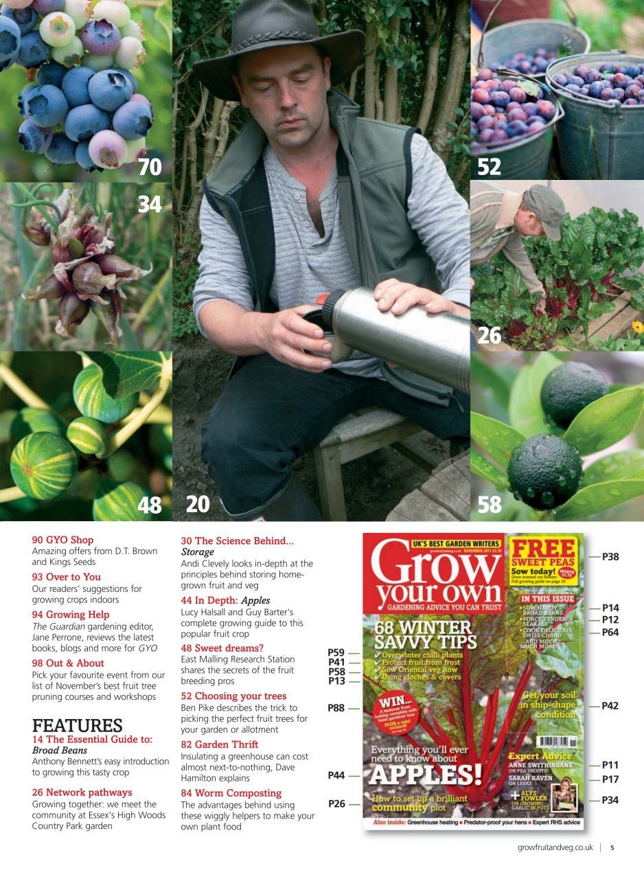 Grow Your Own Preview Pages