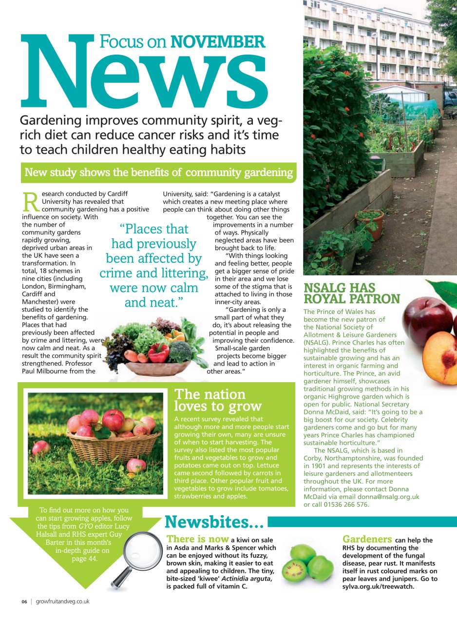 Grow Your Own Preview Pages