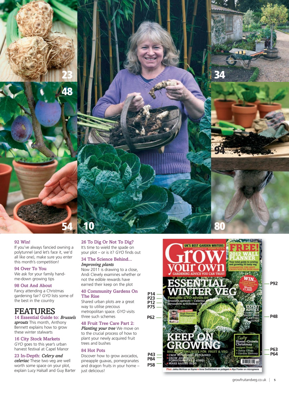 Grow Your Own Preview Pages