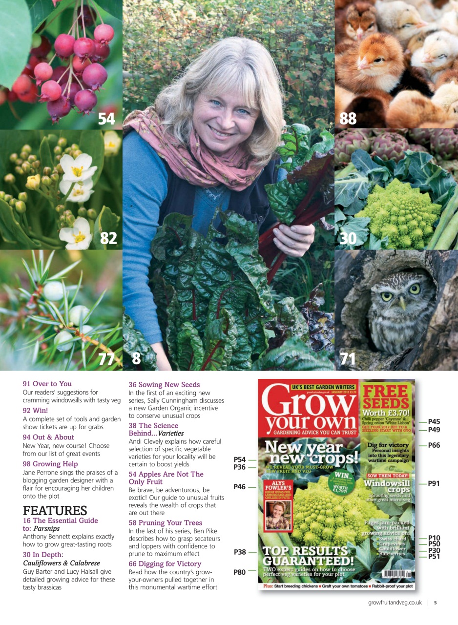 Grow Your Own Preview Pages