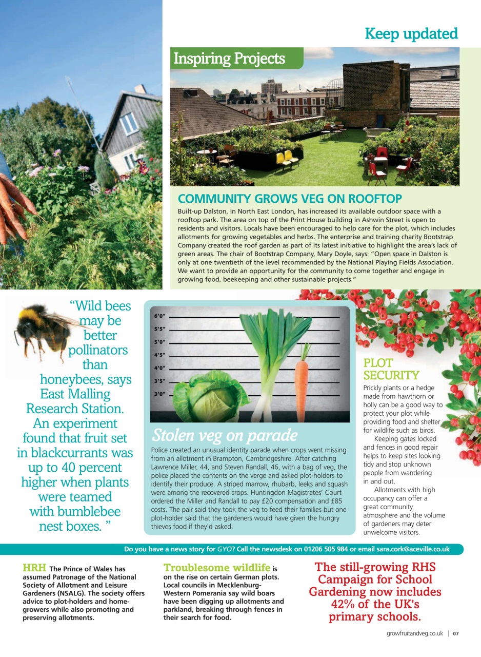 Grow Your Own Preview Pages