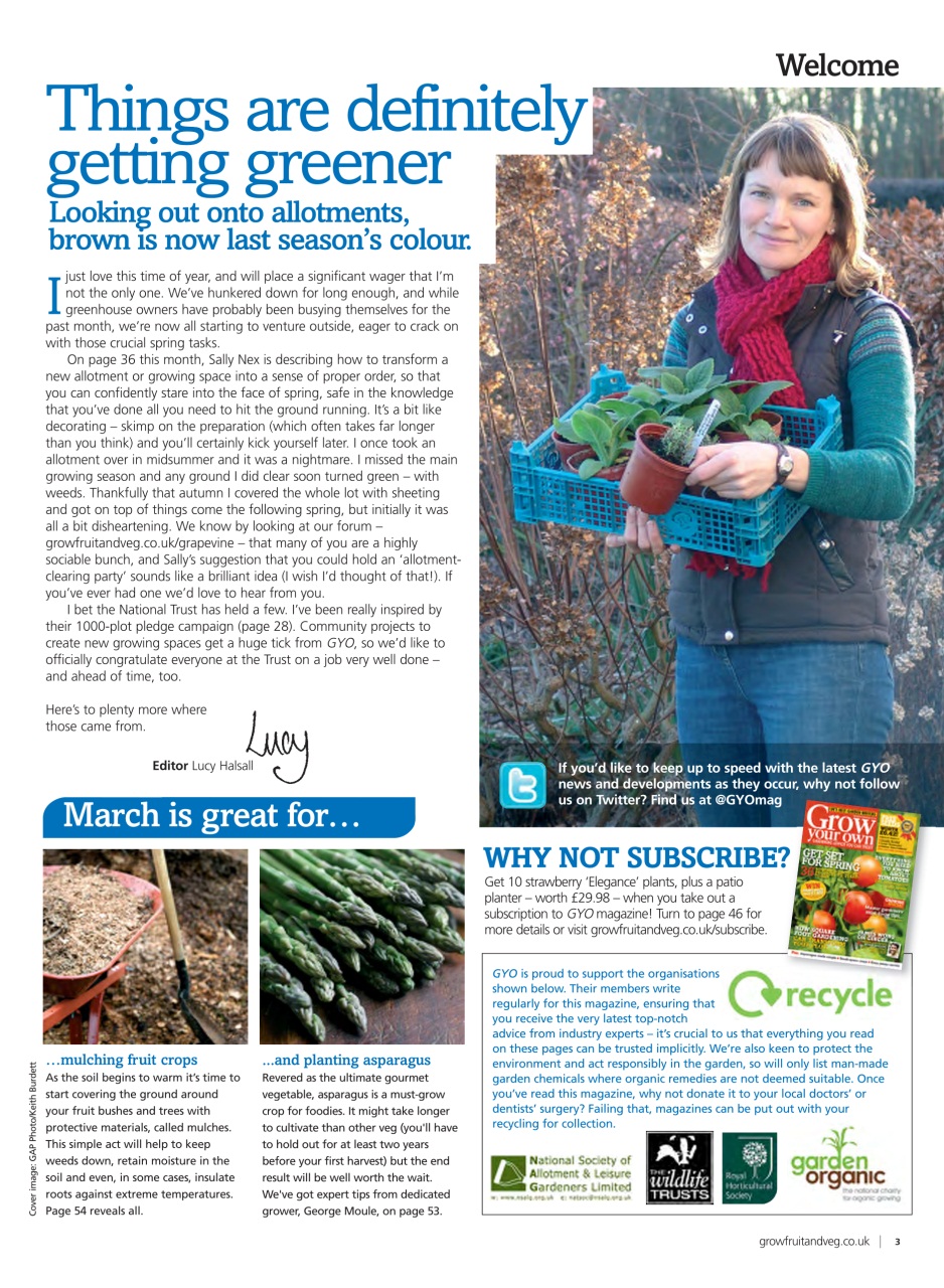 Grow Your Own Preview Pages