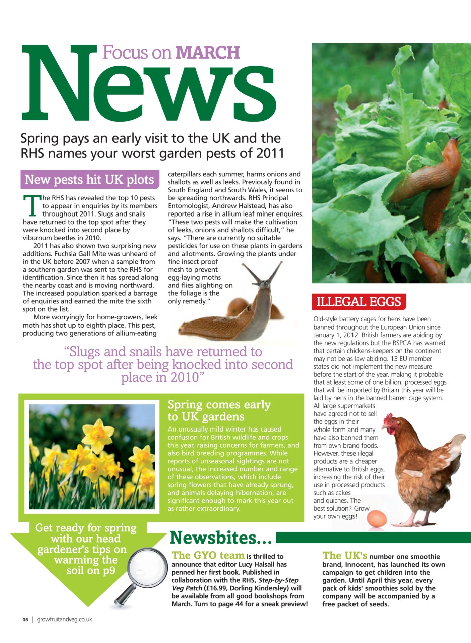 Grow Your Own Preview Pages