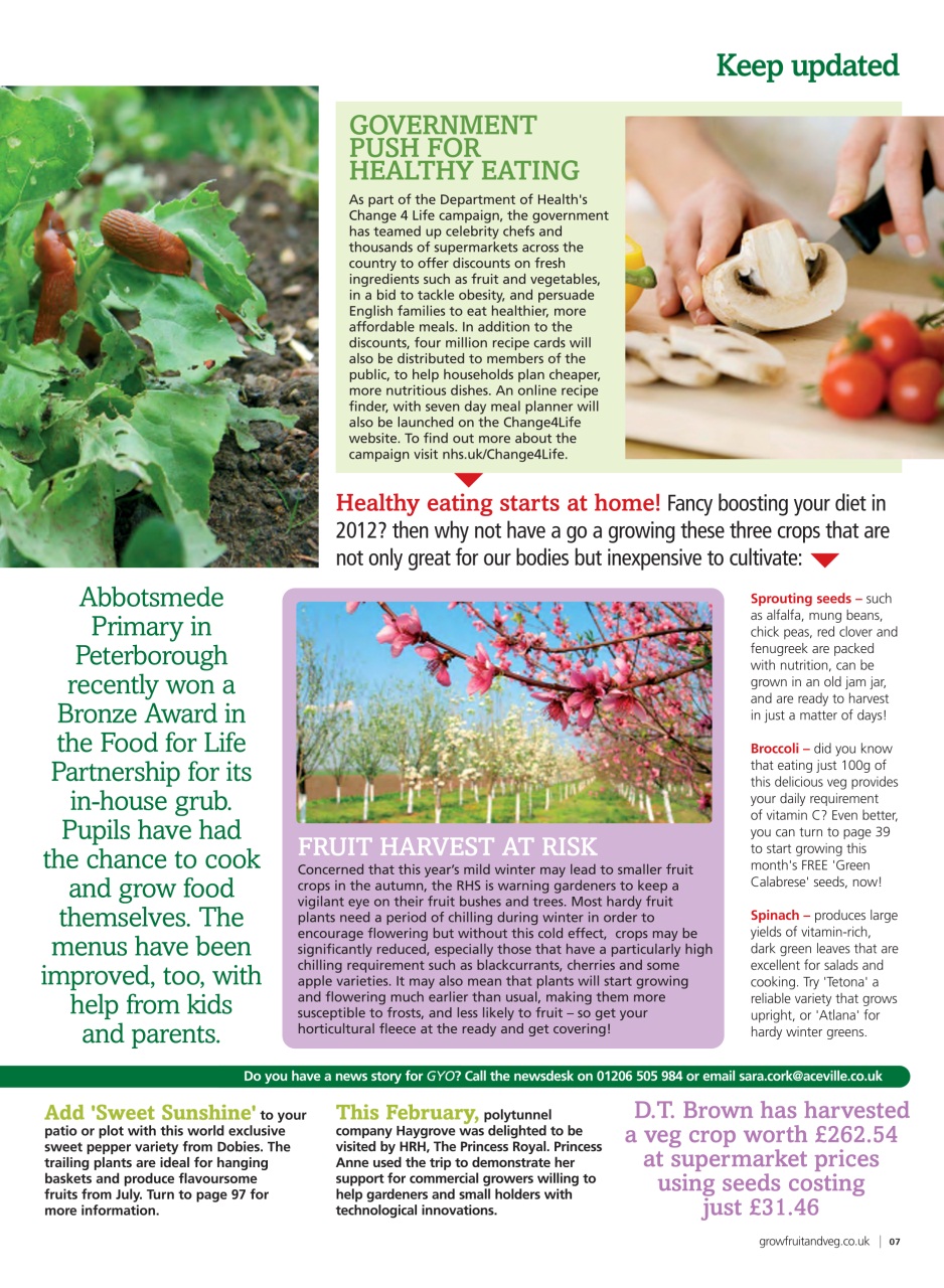 Grow Your Own Preview Pages