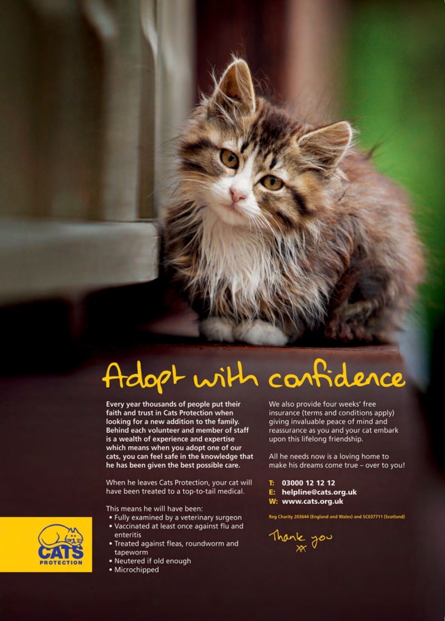 Grow Your Own Preview Pages