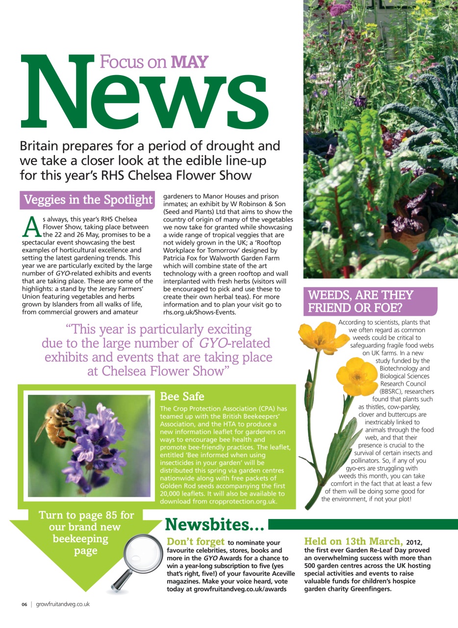 Grow Your Own Preview Pages