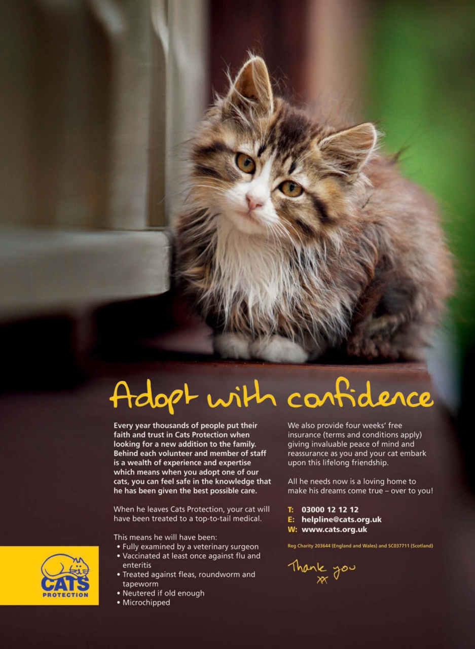 Grow Your Own Preview Pages