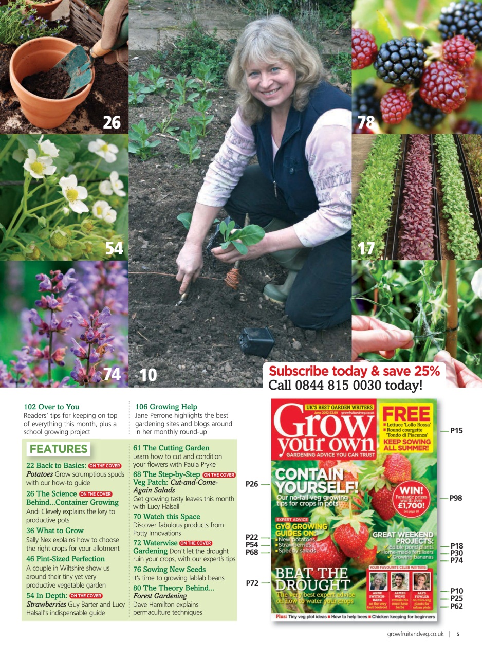 Grow Your Own Preview Pages