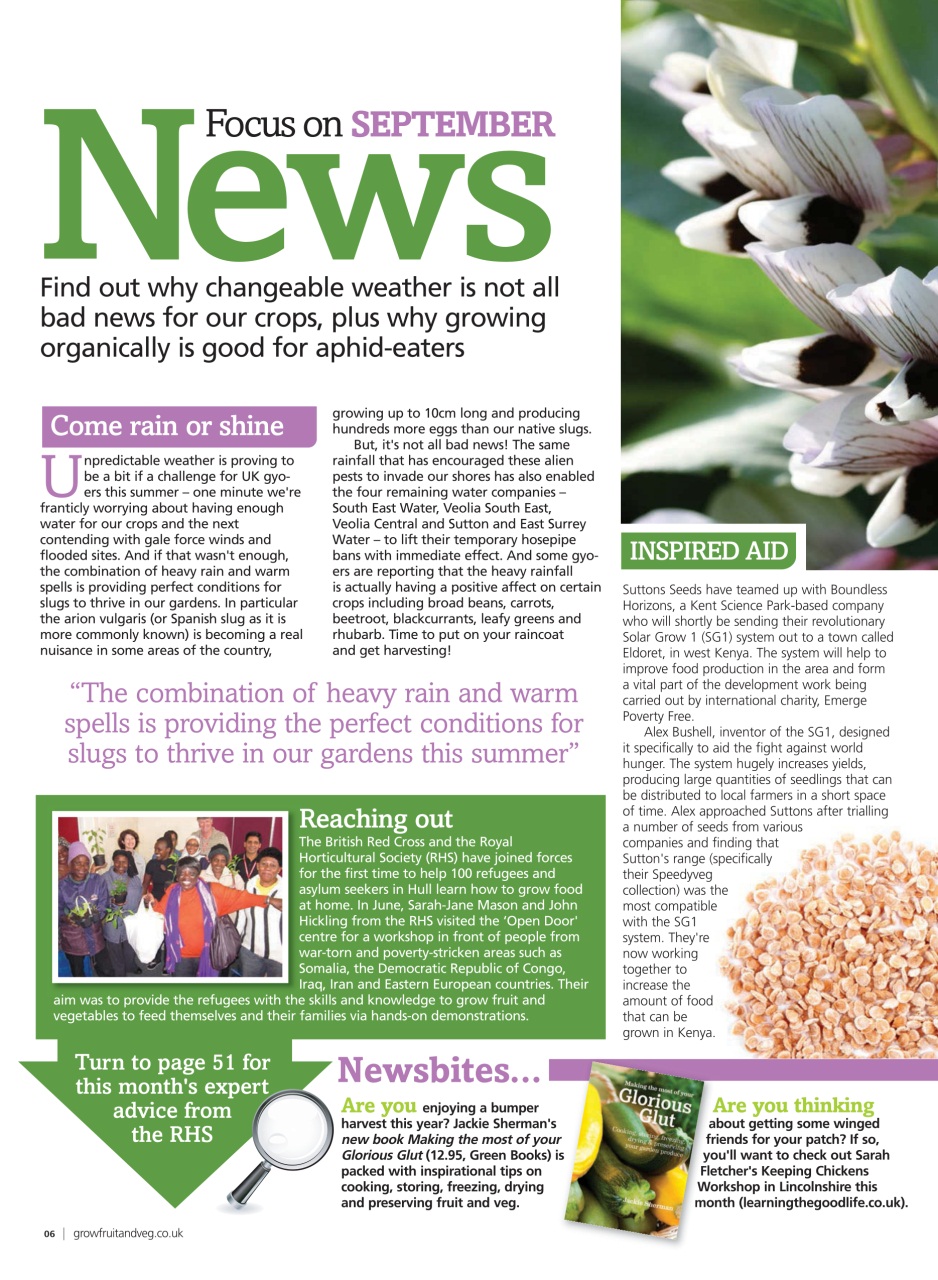 Grow Your Own Preview Pages