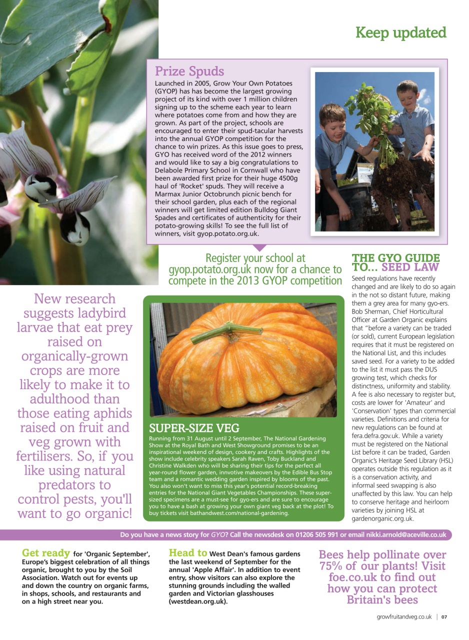 Grow Your Own Preview Pages