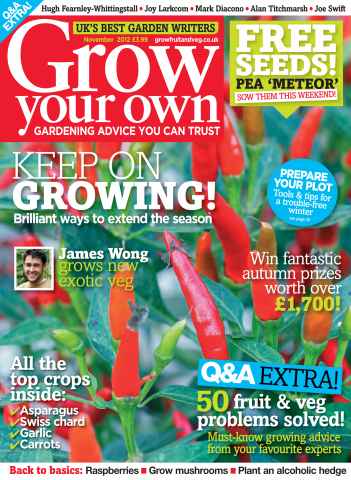 Grow Your Own issue November 2012