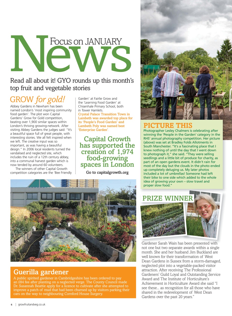 Grow Your Own Preview Pages