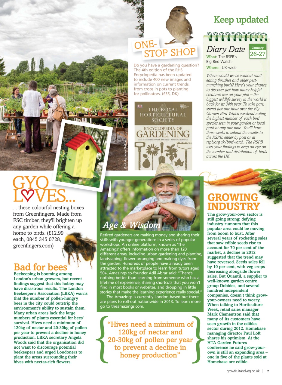 Grow Your Own Preview Pages